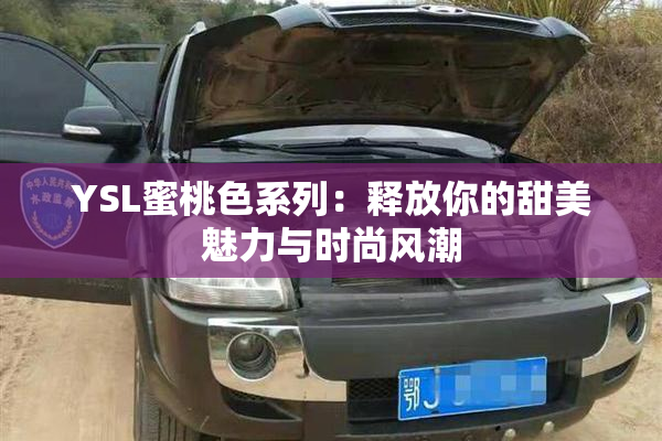 YSL蜜桃色系列：释放你的甜美魅力与时尚风潮