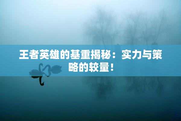 王者英雄的基重揭秘：实力与策略的较量！