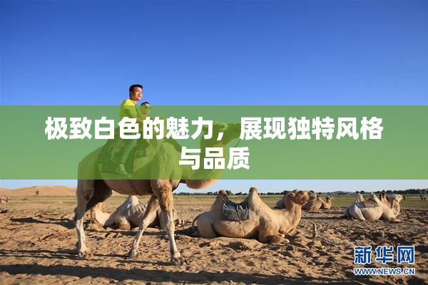 极致白色的魅力，展现独特风格与品质