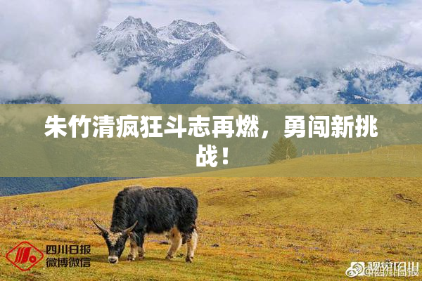 朱竹清疯狂斗志再燃，勇闯新挑战！