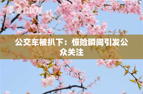 公交车被扒下：惊险瞬间引发公众关注