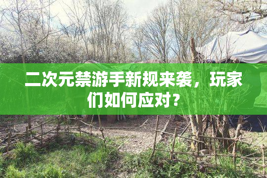 二次元禁游手新规来袭，玩家们如何应对？