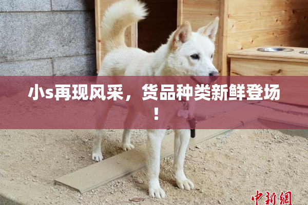 小s再现风采，货品种类新鲜登场！