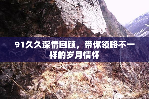 91久久深情回顾，带你领略不一样的岁月情怀