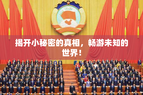 揭开小秘密的真相，畅游未知的世界！