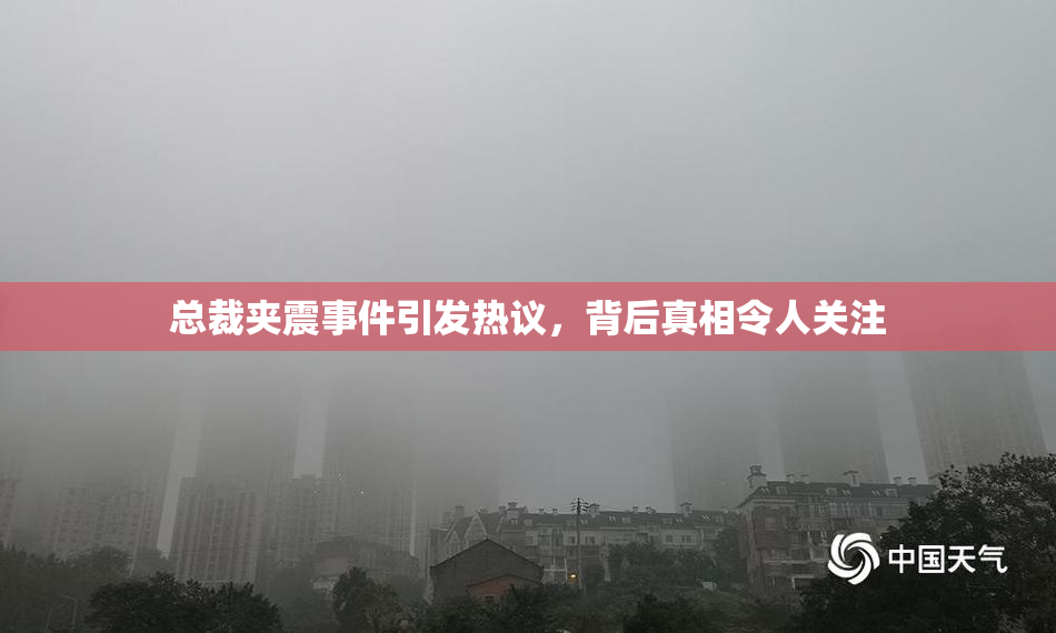 总裁夹震事件引发热议，背后真相令人关注