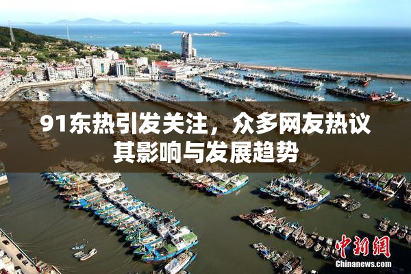 91东热引发关注，众多网友热议其影响与发展趋势
