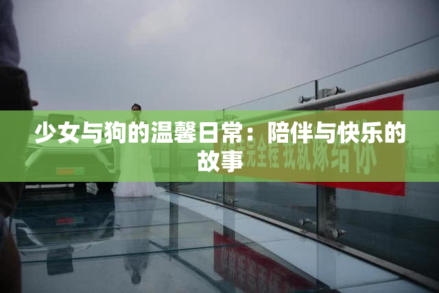 少女与狗的温馨日常：陪伴与快乐的故事