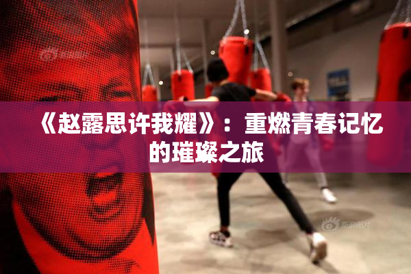 《赵露思许我耀》：重燃青春记忆的璀璨之旅