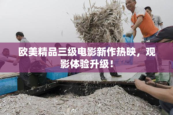 欧美精品三级电影新作热映，观影体验升级！