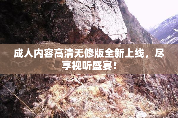 成人内容高清无修版全新上线，尽享视听盛宴！