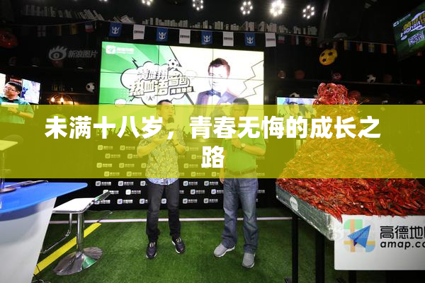 未满十八岁，青春无悔的成长之路
