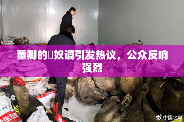 董卿的婬奴调引发热议，公众反响强烈