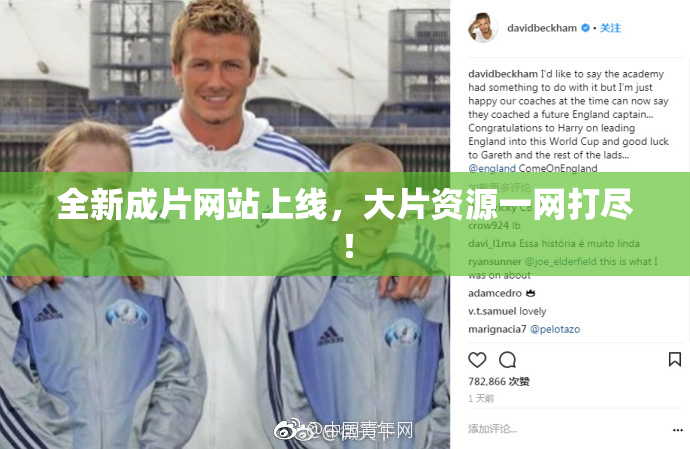 全新成片网站上线，大片资源一网打尽！