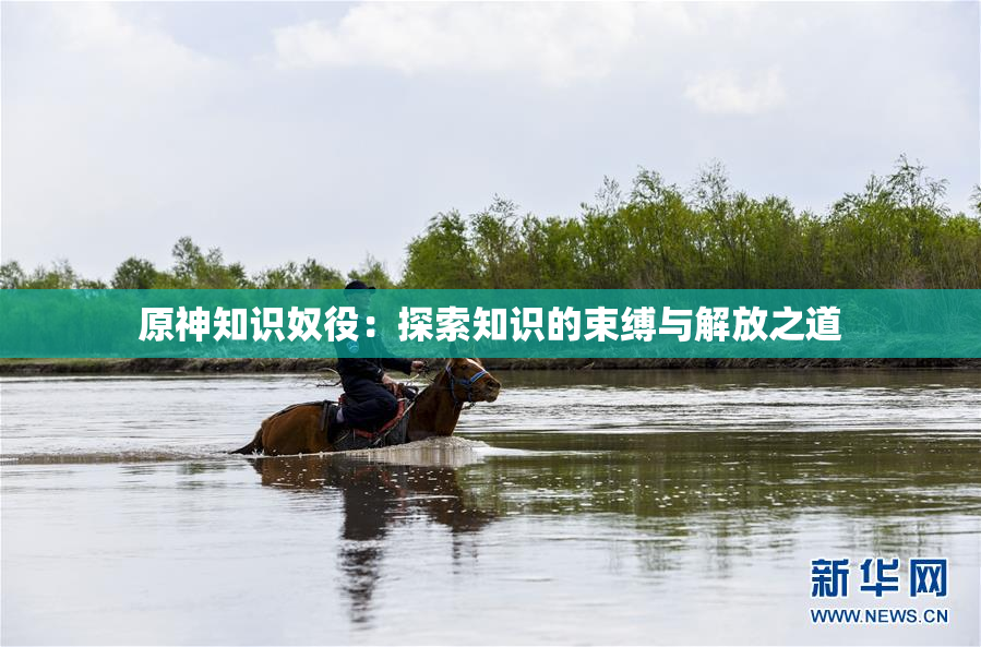 原神知识奴役：探索知识的束缚与解放之道