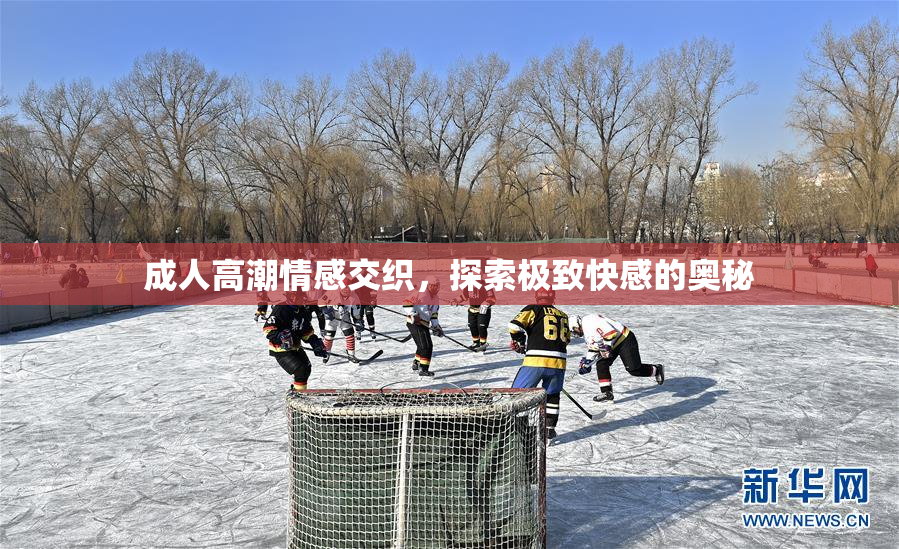 成人高潮情感交织，探索极致快感的奥秘
