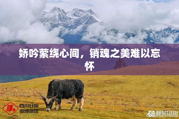 娇吟萦绕心间，销魂之美难以忘怀
