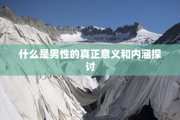 什么是男性的真正意义和内涵探讨