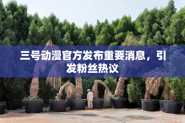 三号动漫官方发布重要消息，引发粉丝热议