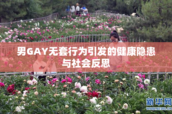 男GAY无套行为引发的健康隐患与社会反思