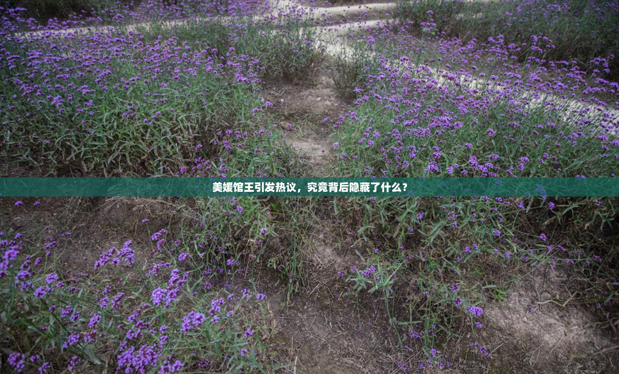 美媛馆王引发热议，究竟背后隐藏了什么？
