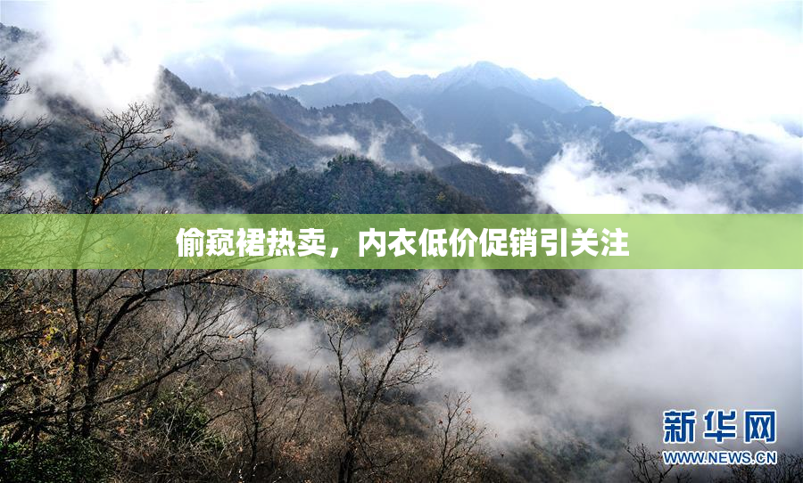 偷窥裙热卖，内衣低价促销引关注