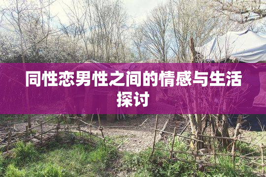 同性恋男性之间的情感与生活探讨