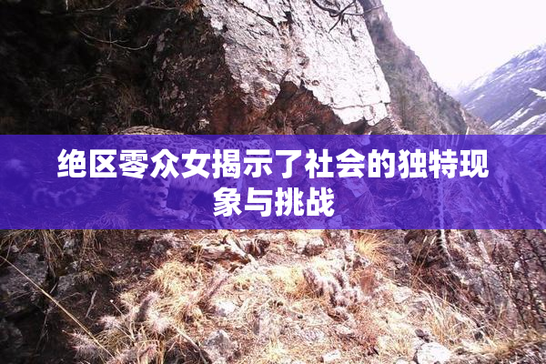 绝区零众女揭示了社会的独特现象与挑战