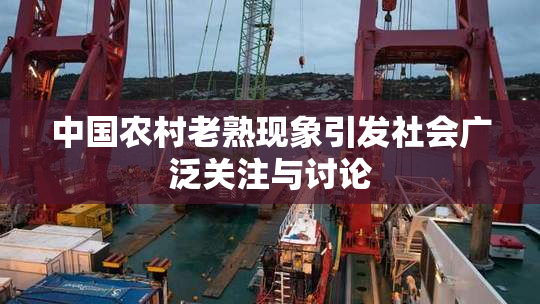 中国农村老熟现象引发社会广泛关注与讨论