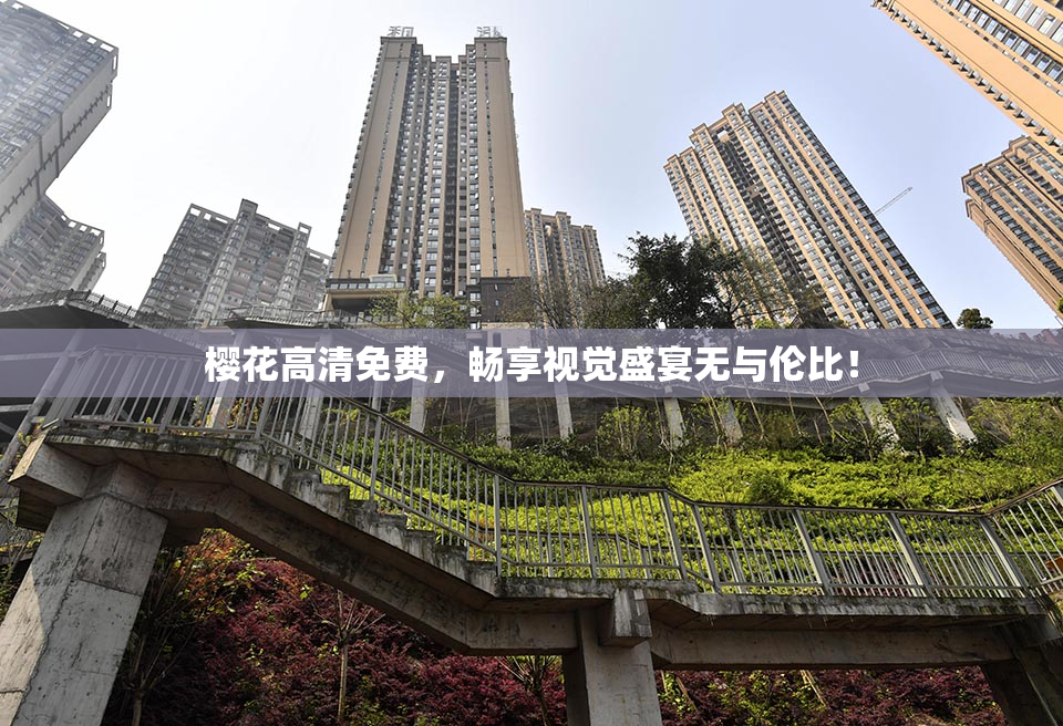 樱花高清免费，畅享视觉盛宴无与伦比！