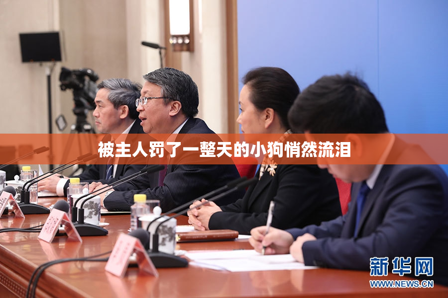 被主人罚了一整天的小狗悄然流泪