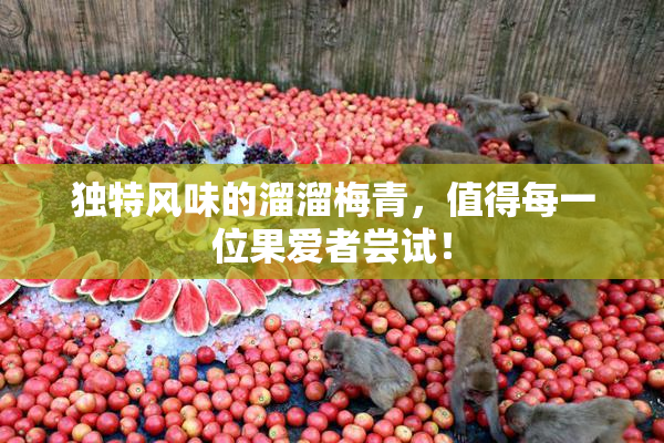 独特风味的溜溜梅青，值得每一位果爱者尝试！