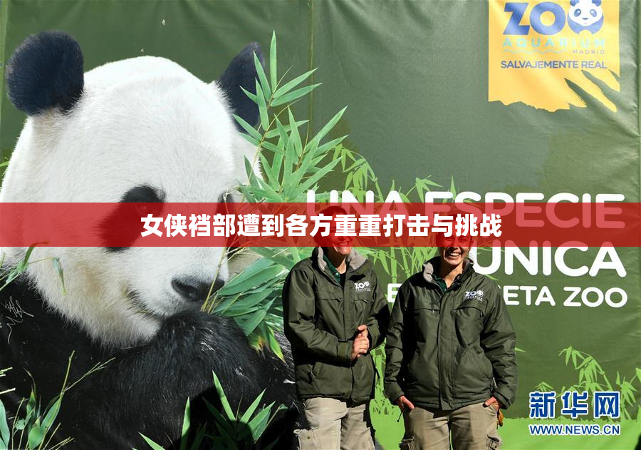女侠裆部遭到各方重重打击与挑战