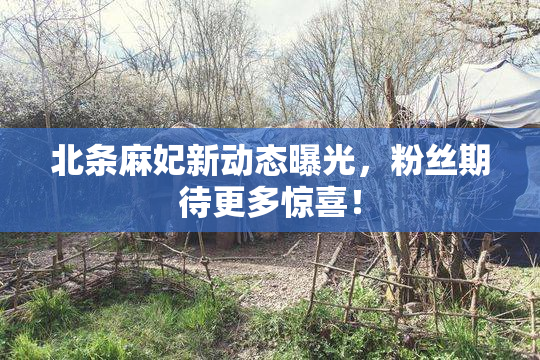 北条麻妃新动态曝光，粉丝期待更多惊喜！