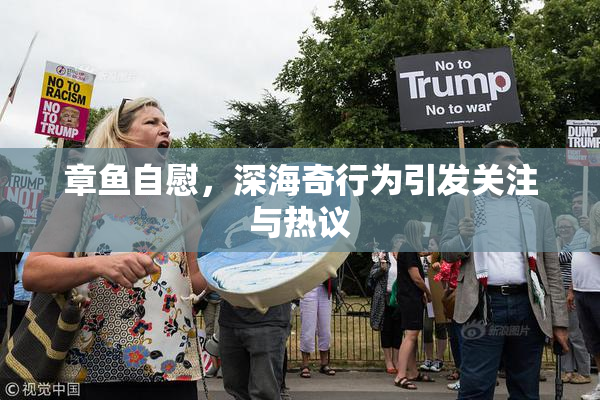 章鱼自慰，深海奇行为引发关注与热议