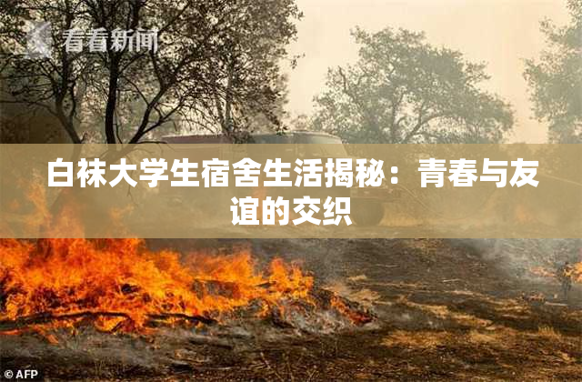 白袜大学生宿舍生活揭秘：青春与友谊的交织