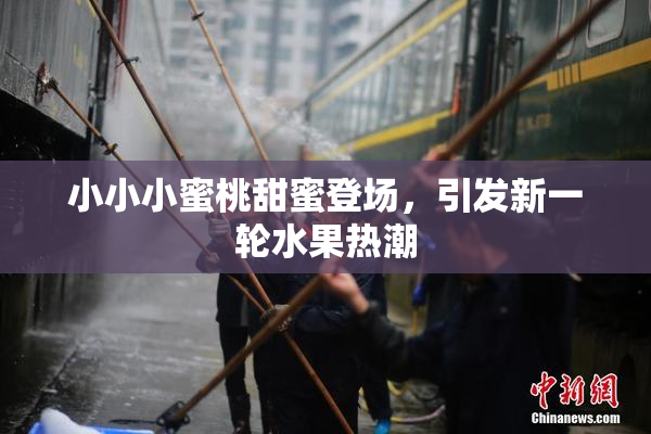 小小小蜜桃甜蜜登场，引发新一轮水果热潮
