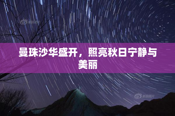 曼珠沙华盛开，照亮秋日宁静与美丽