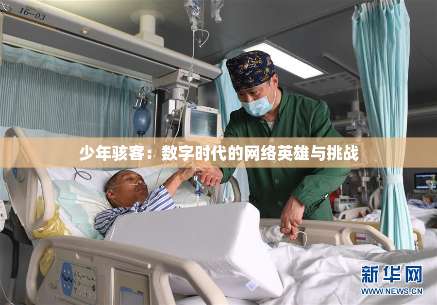 少年骇客：数字时代的网络英雄与挑战