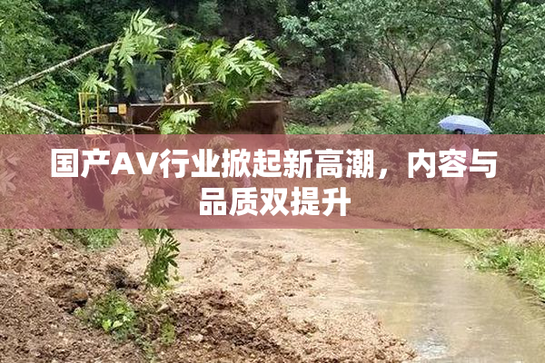 国产AV行业掀起新高潮，内容与品质双提升