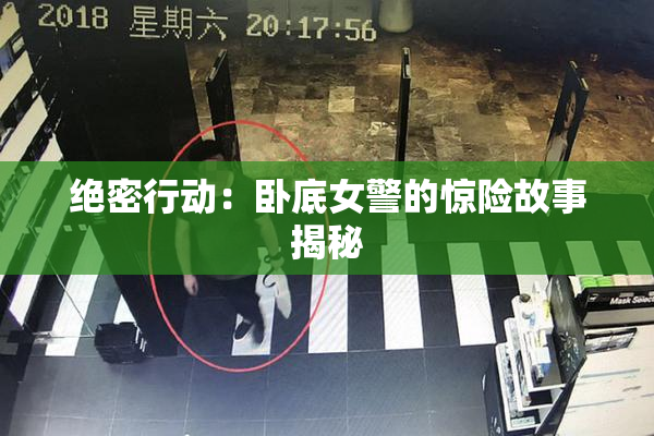 绝密行动：卧底女警的惊险故事揭秘