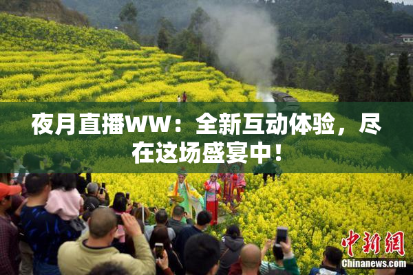 夜月直播WW：全新互动体验，尽在这场盛宴中！