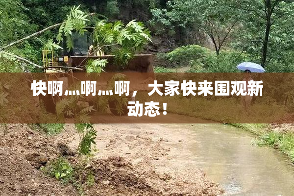 快啊灬啊灬啊，大家快来围观新动态！