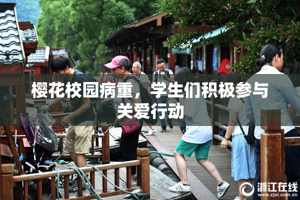 樱花校园病重，学生们积极参与关爱行动