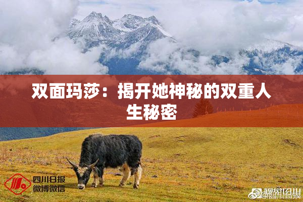 双面玛莎：揭开她神秘的双重人生秘密
