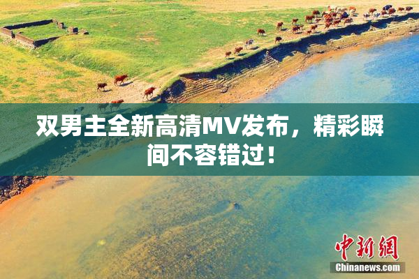双男主全新高清MV发布，精彩瞬间不容错过！