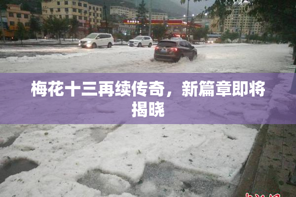 梅花十三再续传奇，新篇章即将揭晓