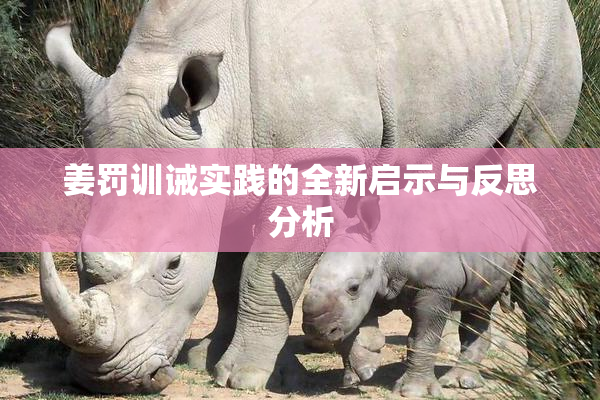 姜罚训诫实践的全新启示与反思分析