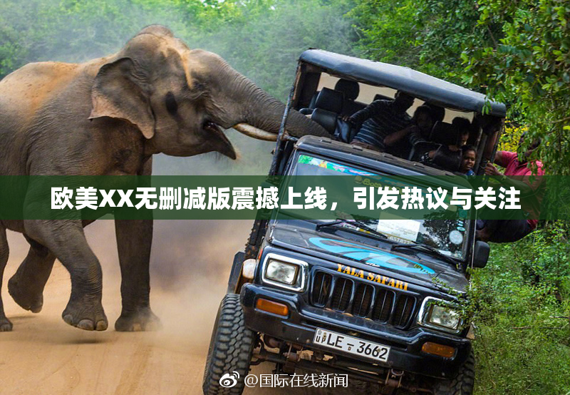 欧美XX无删减版震撼上线，引发热议与关注