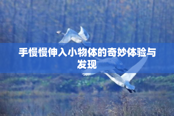 手慢慢伸入小物体的奇妙体验与发现